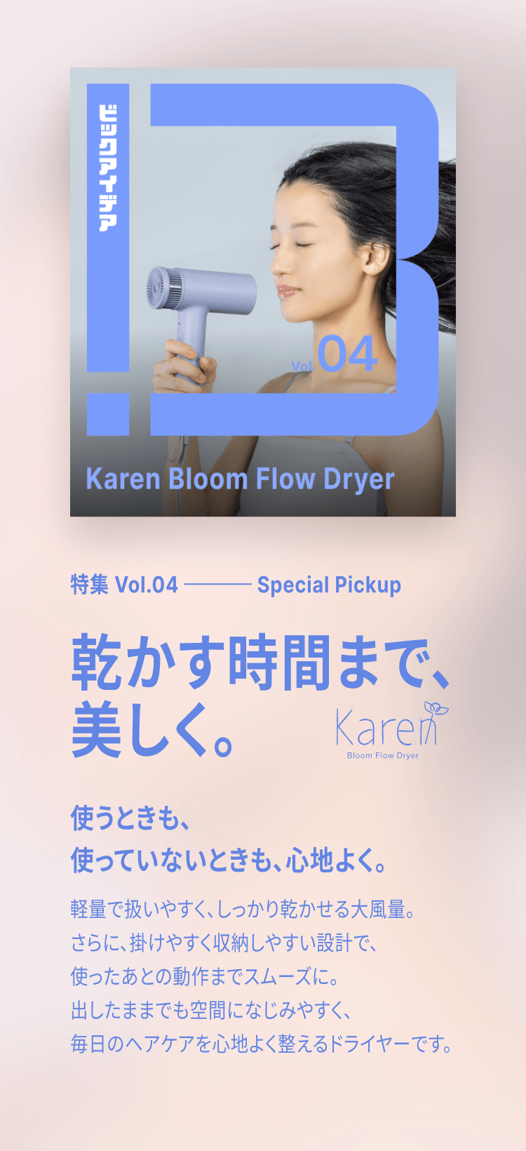 Karen Bloom Flow Dryer