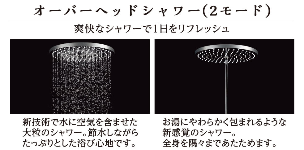 �I�[�o�[�w�b�h�V�����[�i2���[�h�j