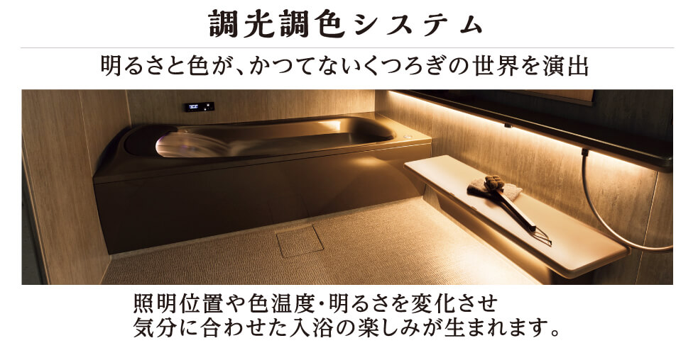 �������F�V�X�e��