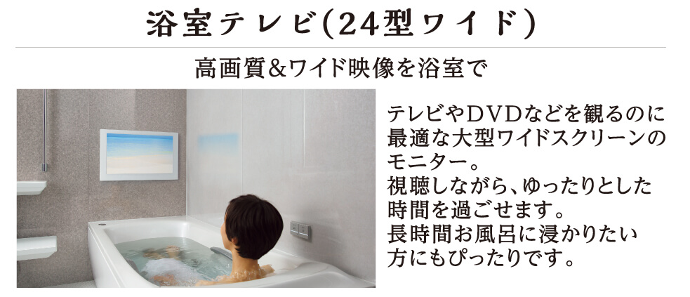 �����e���r�i24�^���C�h�j