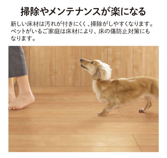 �|���⃁���e�i���X������