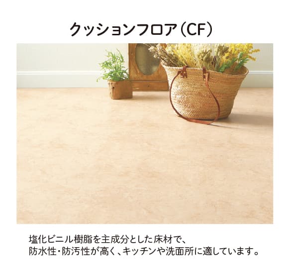 �N�b�V�����t���A