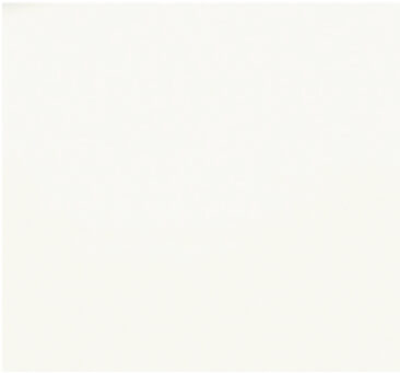 �\���b�g�z���C�g