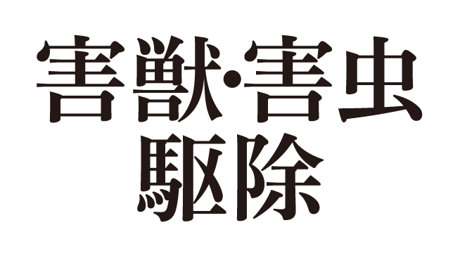 �Q�b�E�Q���쏜