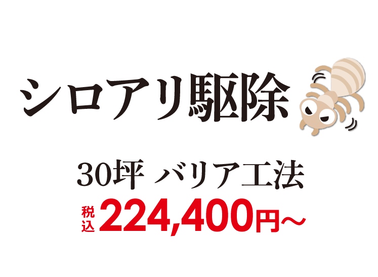 ���K�ȋ��