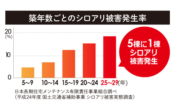 �V���A����Q������