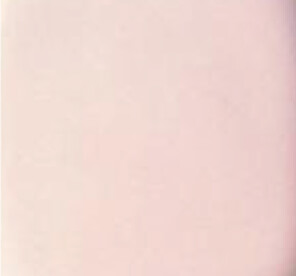 �p�X�e���s���N(�󒍐��Y�F)