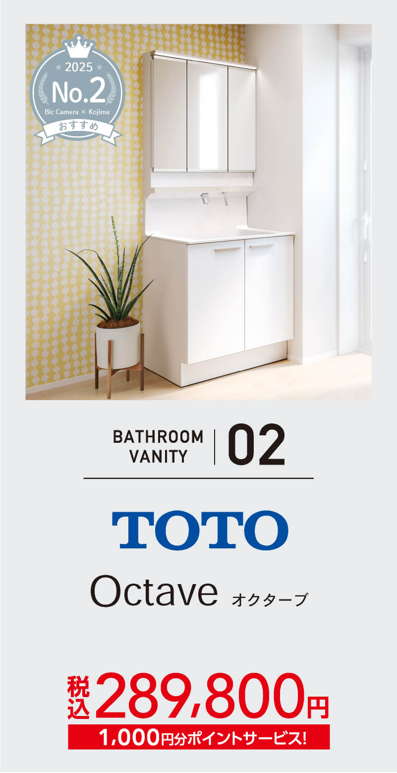 ʉϑpbN 02uTOTO IN^[uvC[W