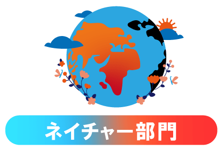 BicCamera Photo World