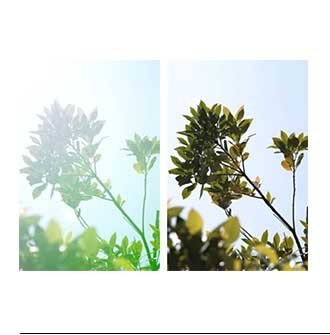 �t���A�A�S�[�X�g�̃C���[�W