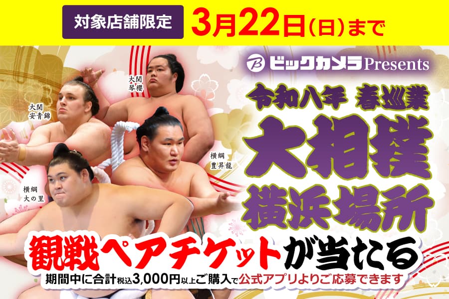 �A�v���ŊȒP���� �ߘa���N �t���� �告�o ���l�ꏊ �ϐ�y�A�`�P�b�g�v���[���g�L�����y�[��