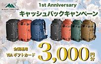 Summit Creative �L���b�V���o�b�N�L�����y�[��