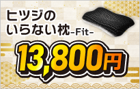 �q�c�W�̂���Ȃ���-Fit-��5100�~����