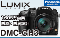 パナソニック  Lumix MC-GH3