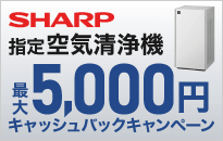 �V���[�v��C����@�L���b�V���o�b�N�L�����y�[��