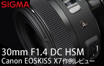 SIGMA（シグマ）30mmF1.4DCHSM