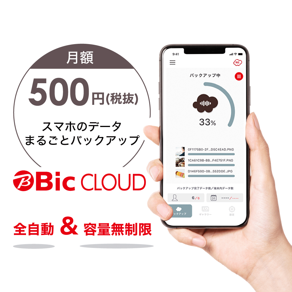 �e�ʖ������̃N���E�h�T�[�r�X�uBic CLOUD�v