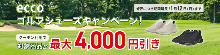 �D�]�ɂ����ԉ����I���Ўw��ecco�S���t�V���[�Y���N�[�|�����p�ōő�4,000�~�����y12��31��(��)���z