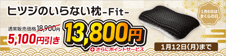 �q�c�W�̂���Ȃ���-Fit-��5100�~����