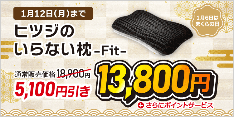 �q�c�W�̂���Ȃ���-Fit-��5100�~����