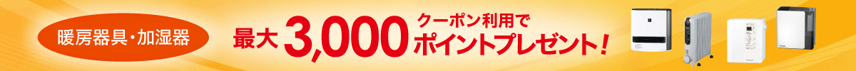 2021年12月】ビックカメラの割引クーポンコード・セールまとめ 