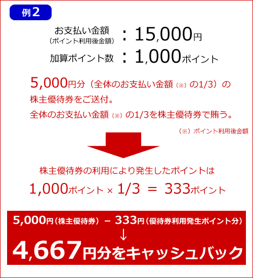 ビックカメラ.comお支払方法 株主優待券のご利用