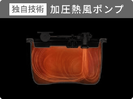 �����M���|���v