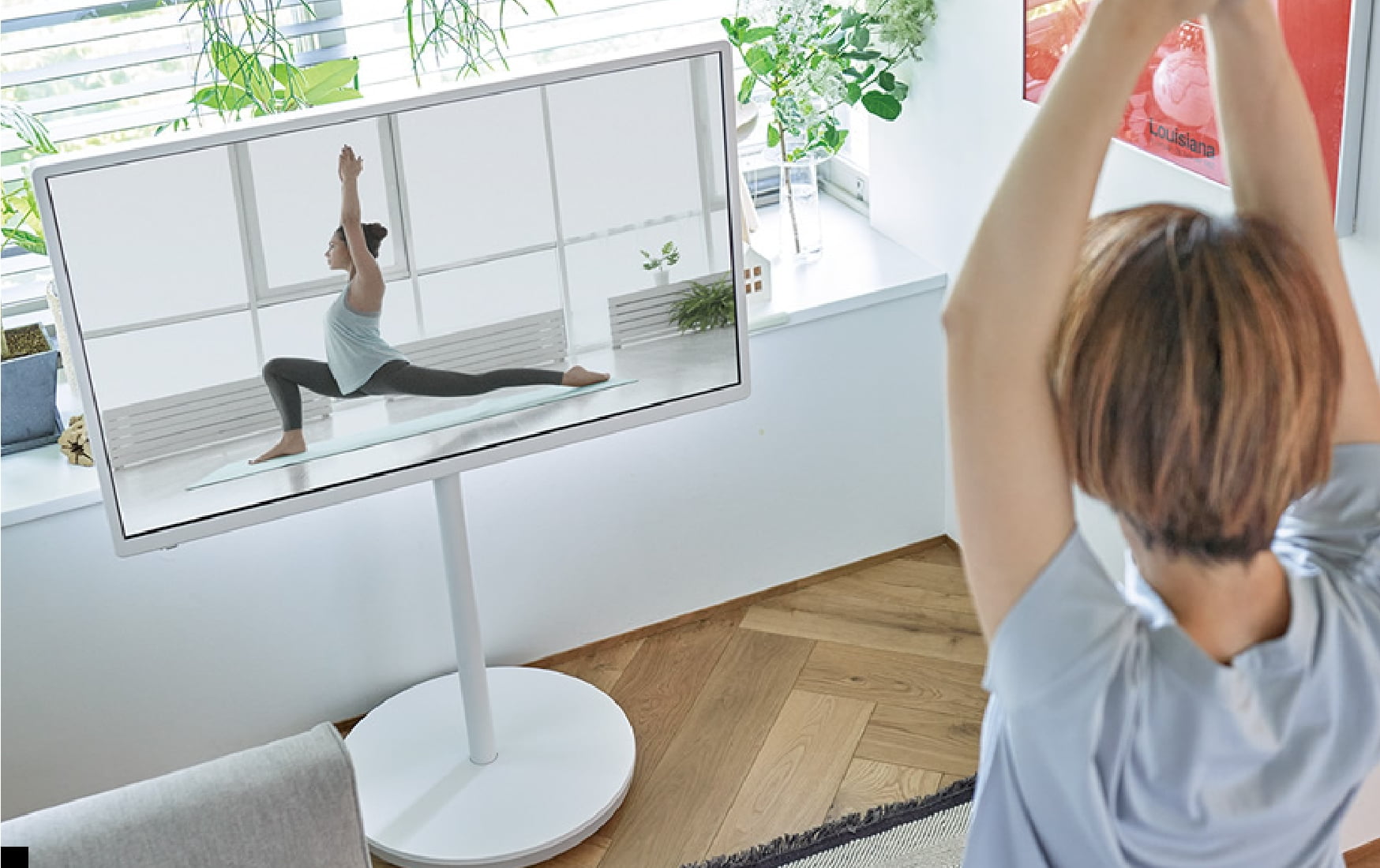 ���C�A�E�g�t���[�e���r�@�ʐ^3