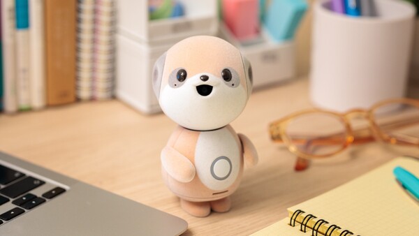 AI�y�b�g�g�|�P�Ƃ��h1�T�Ԏ��p���r���[ ～������～ ����͖��₳���I