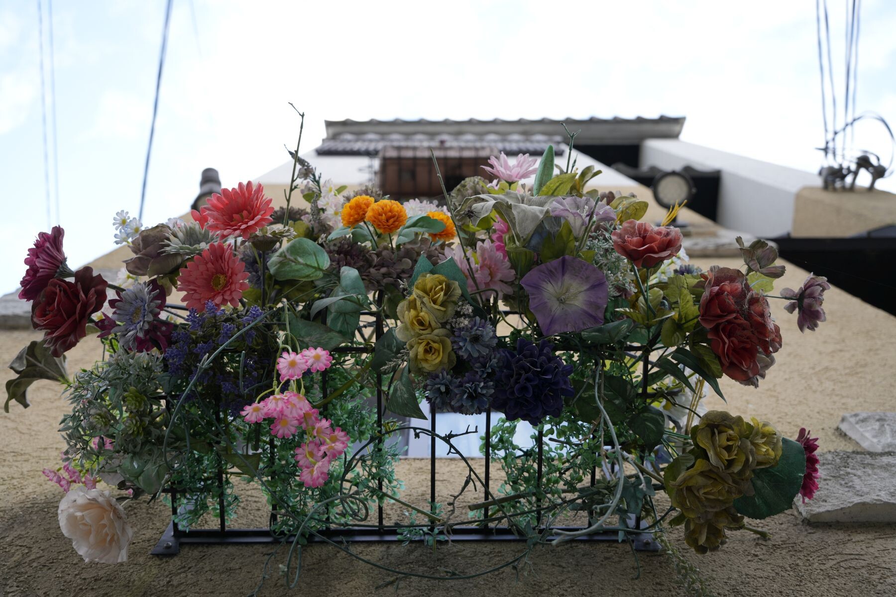 SIGMA 20-200mm F3.5-6.3 DG�bContemporary (E�}�E���g)