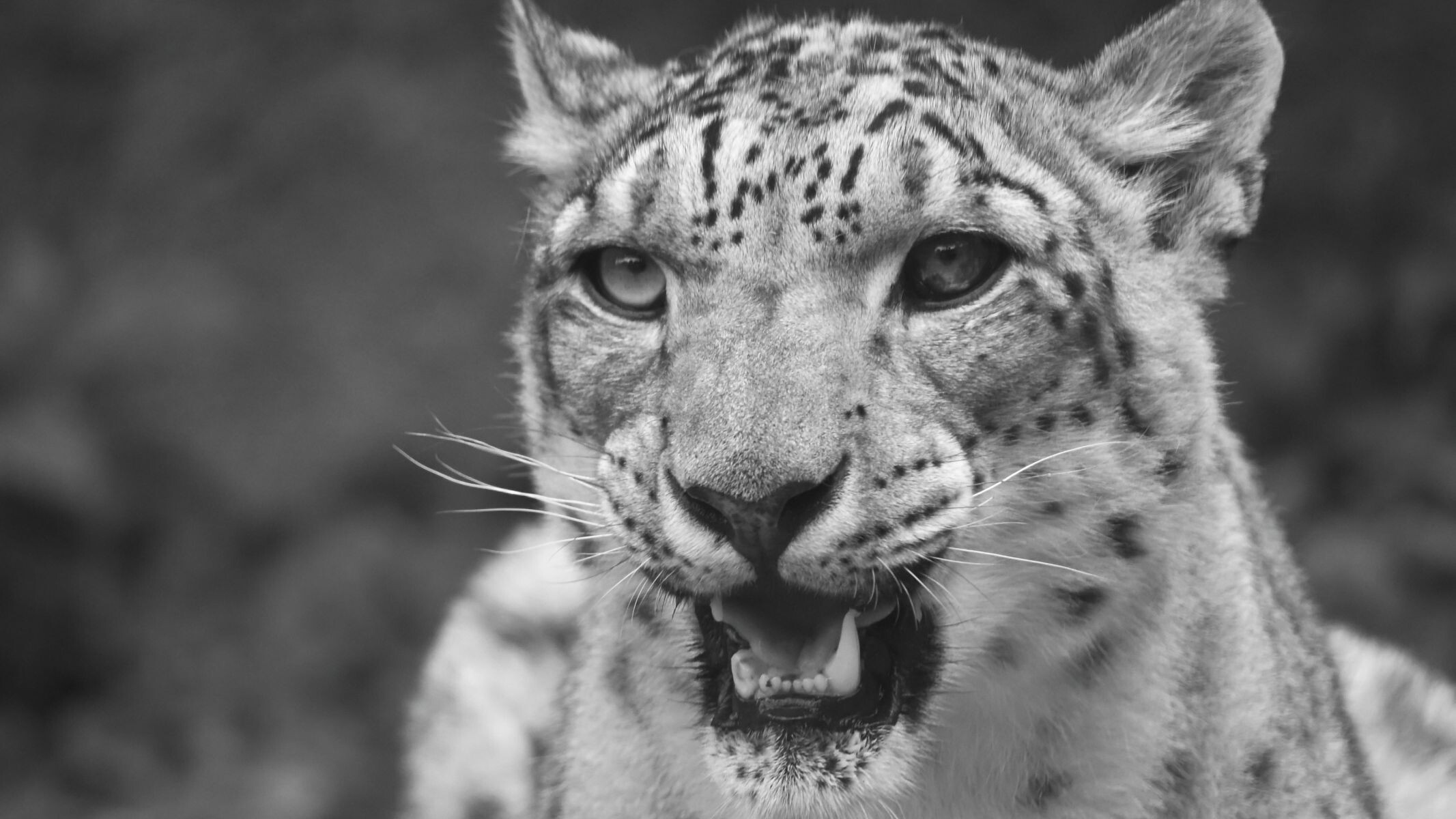 プロ直伝の動物園撮影！多摩動物公園で躍動感溢れる姿を撮ってみよう
