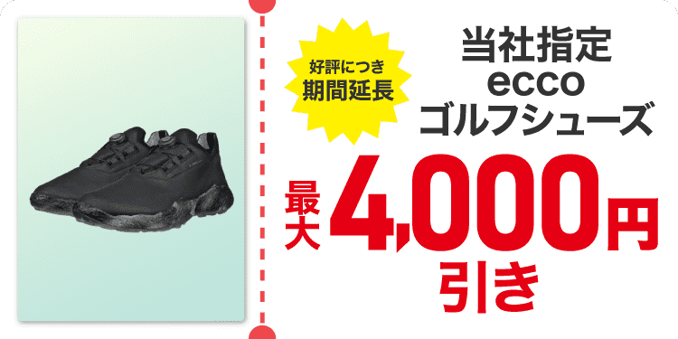 ���Ўw��ecco�S���t�V���[�Y