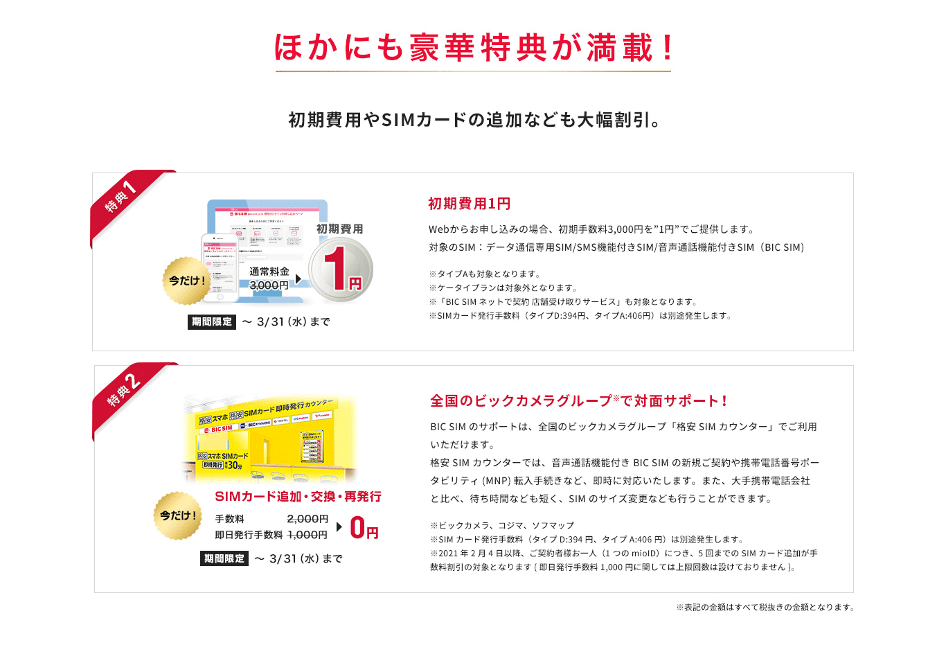 Bic Sim ビックシム ビックカメラ