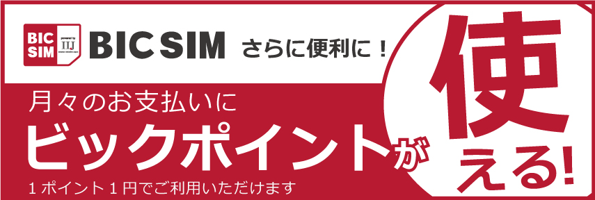 ビックSIMの良い評判から悪い口コミ