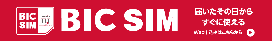 ���q�l�����xNO1�IBIC SIM