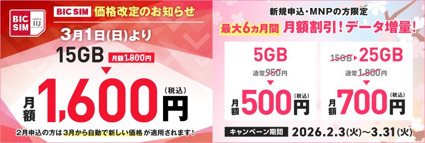 BIC SIM�L�����y�[��