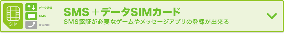 おすすめの格安SIMカード | ビックカメラ