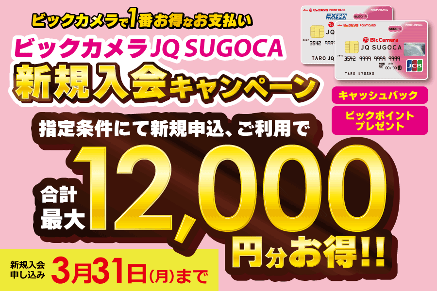 ビックカメラ/コジマ株主優待12000円分 ビックカメラ/コジマ株主優待12000円分