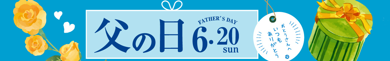 21年 父の日の贈り物 ビックカメラ