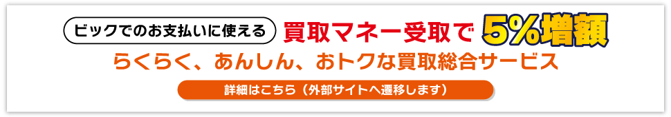 炭炭A񂵂AgNȔ摍T[rX