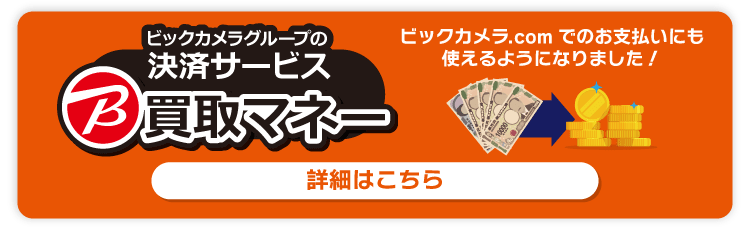 売る　洗濯機　40% 割引！　9ヶ月だけ　・ビックカメラ・ 売る 洗濯機 40% 割引！ 9ヶ月だけ ・ビックカメラ・ 【公式通販】