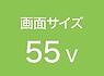 55V^