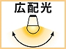 �L�z���^�C�v