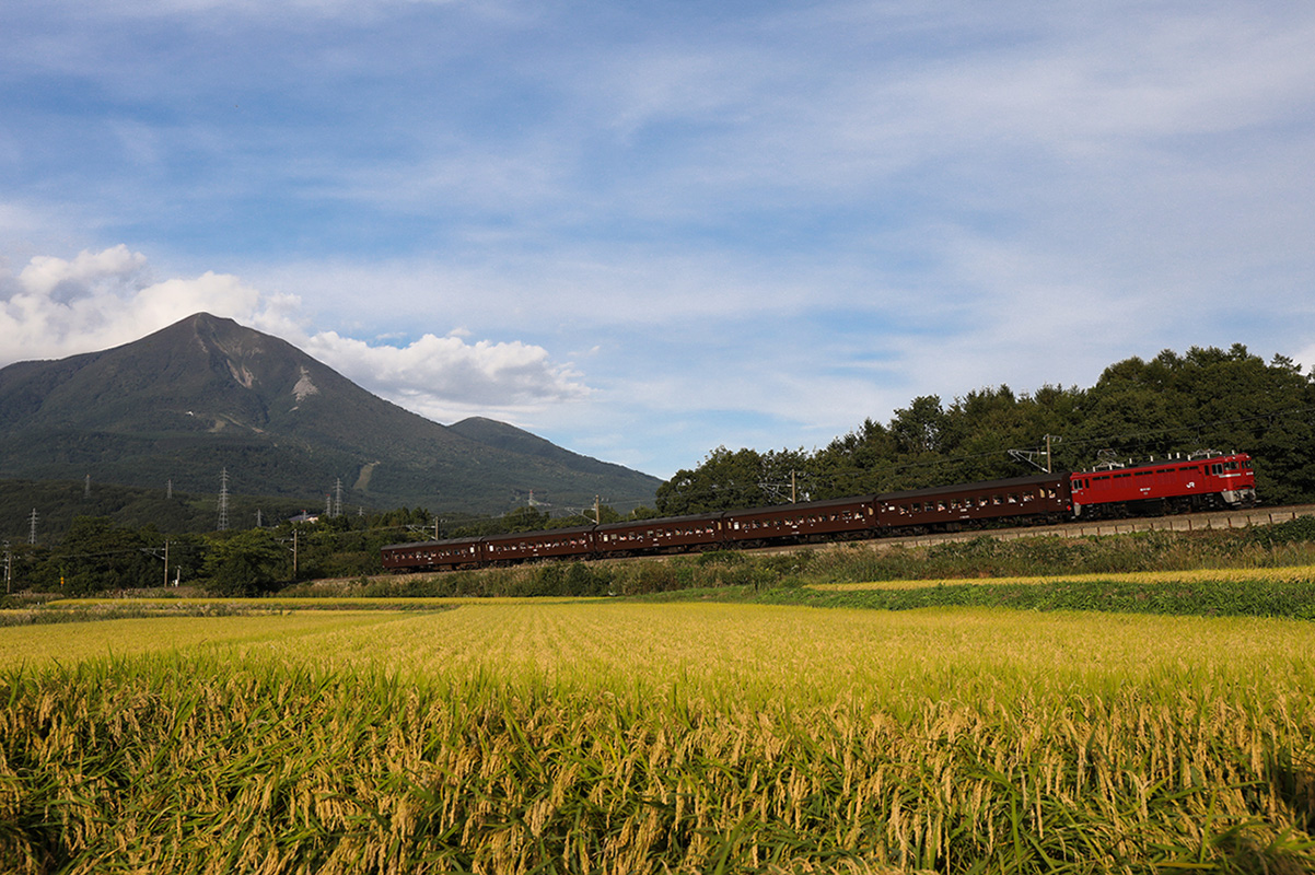 ��蒼�O�̈��