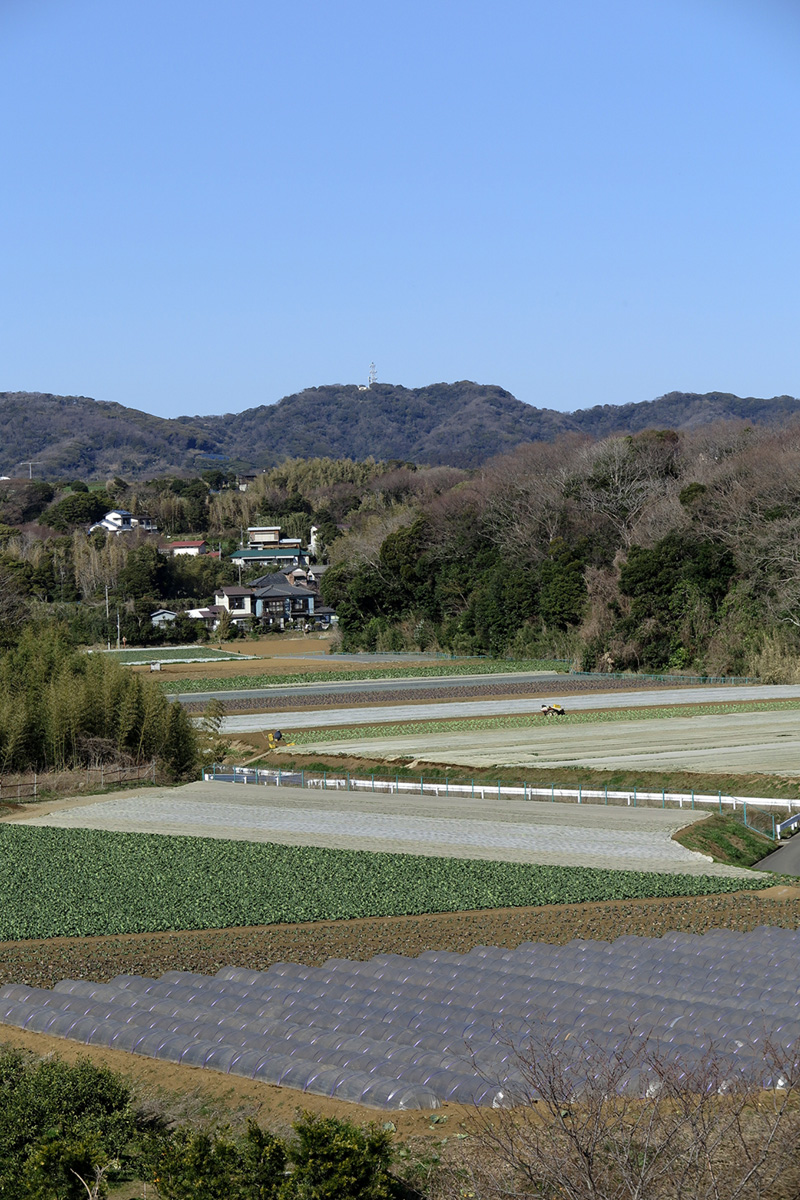 Canon PowerShot G1 X Mark II ���@���ʃ��|�[�g