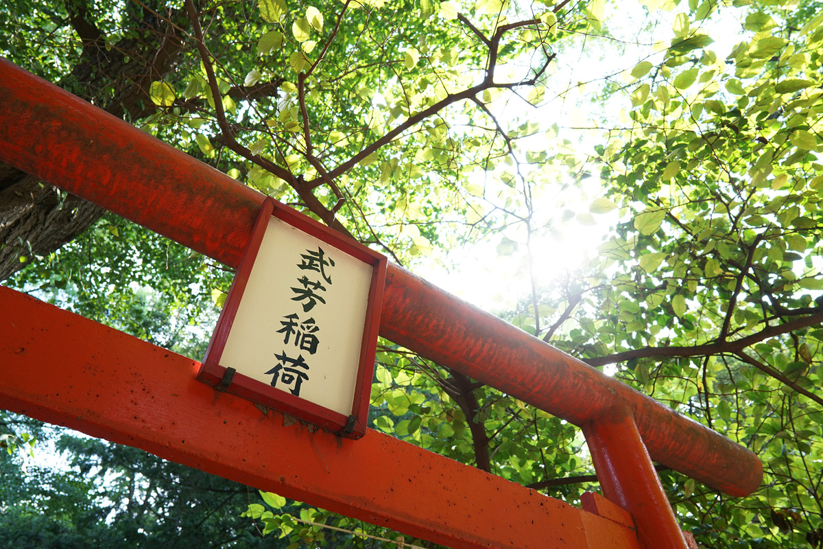 �J�[���c�@�C�X Batis 2/25�@���ʃ��|�[�g