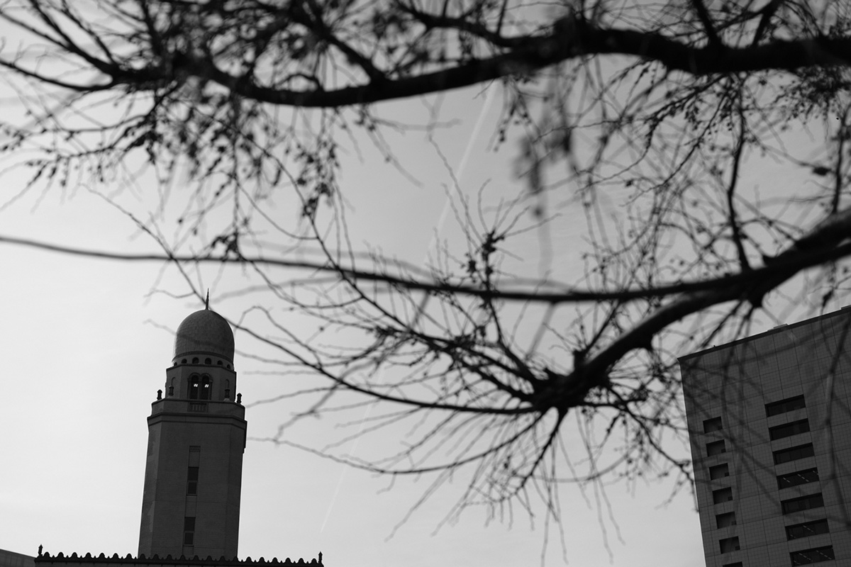 ����c���������m�N���ɎB�e