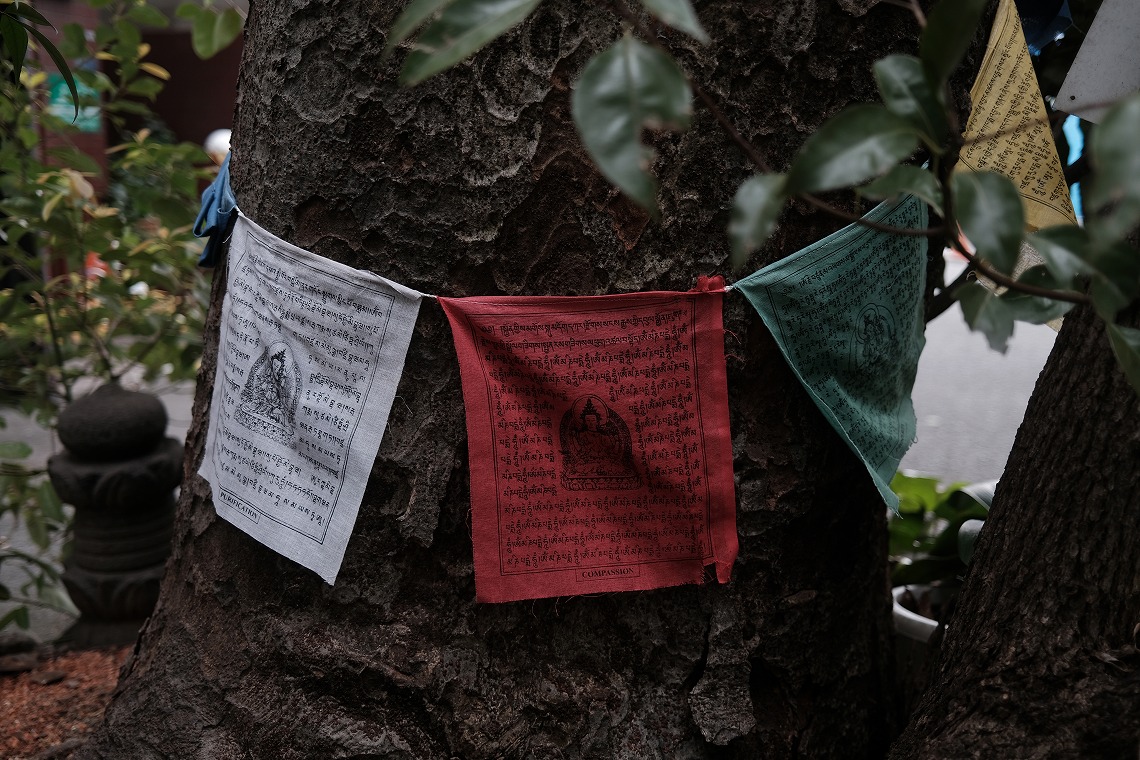 X100V_�o����