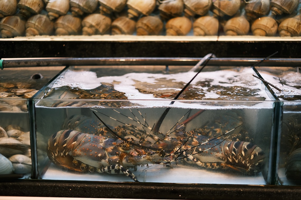 �x�m�t�C����_XPro3_�ɐ��C�V