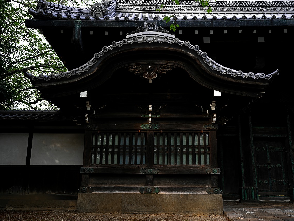 X1D II 50C__�ԏ�